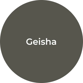 Geisha